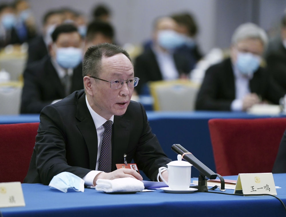 5月23日，全國政協(xié)委員王一鳴在經(jīng)濟界聯(lián)組會上發(fā)言。新華社記者　謝環(huán)馳　攝